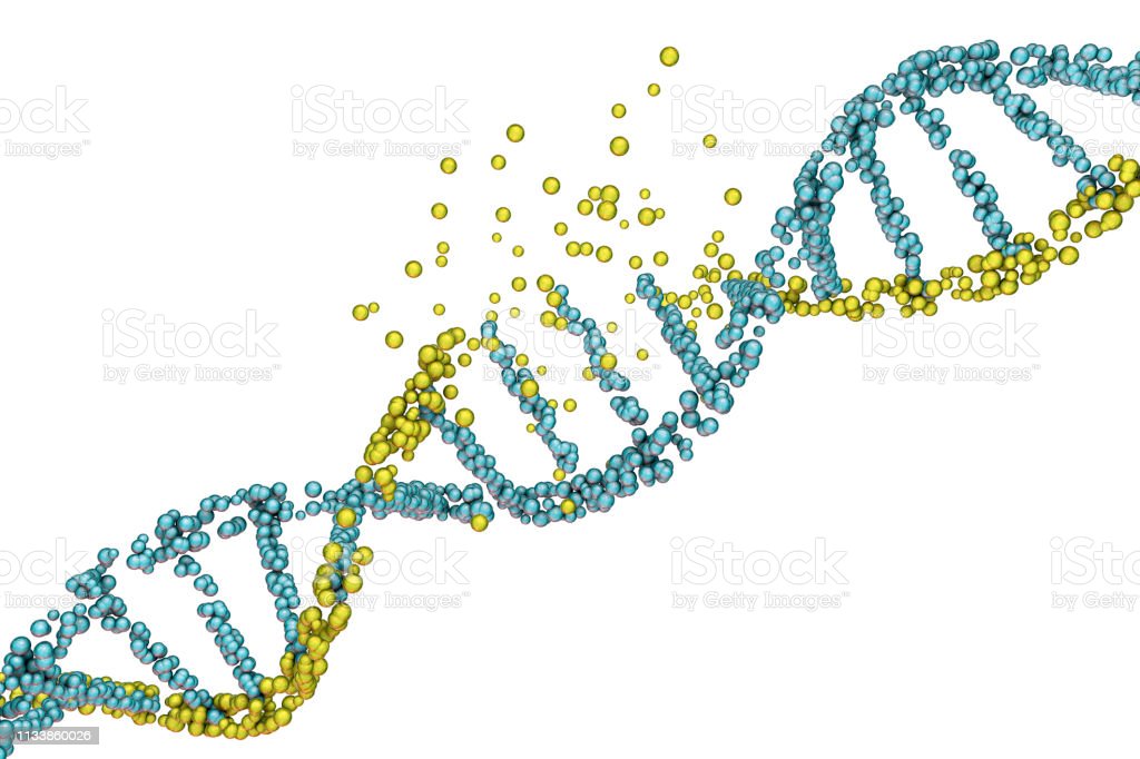 DNA Bị Hư Hại Bởi Kim Loại Nặng