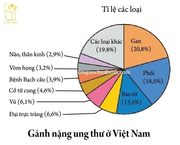 NGUYÊN NHÂN GÂY UNG THƯ LÀ GÌ